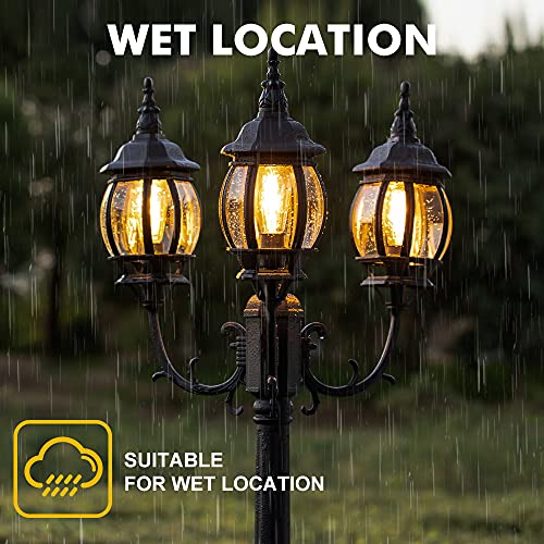 Black Triple-Head LED Vintage  - Outdoor Lighting Hardwired ulasan dan harga